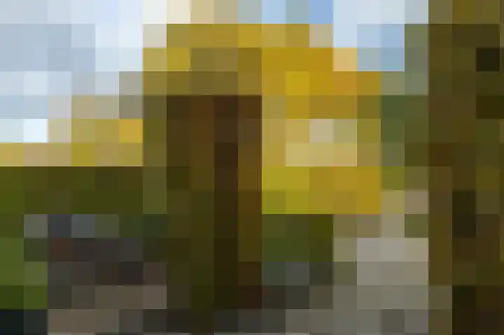 Van Heeswijkstraat 20 Udenhout thumbnail 8