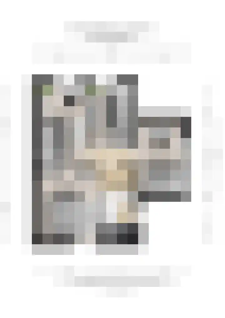 Van Heeswijkstraat 36 Udenhout thumbnail 43