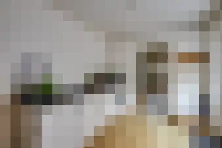 Van Heeswijkstraat 64 Udenhout thumbnail 10
