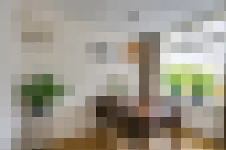 Van Heeswijkstraat 64 Udenhout thumbnail 14
