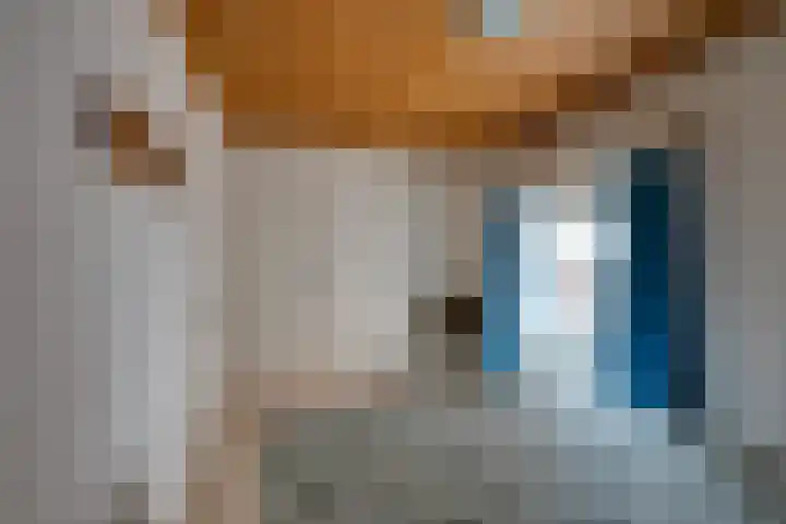 Van Heeswijkstraat 64 Udenhout thumbnail 4
