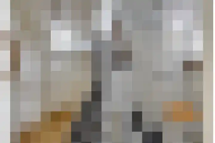Van Heeswijkstraat 64 Udenhout thumbnail 6
