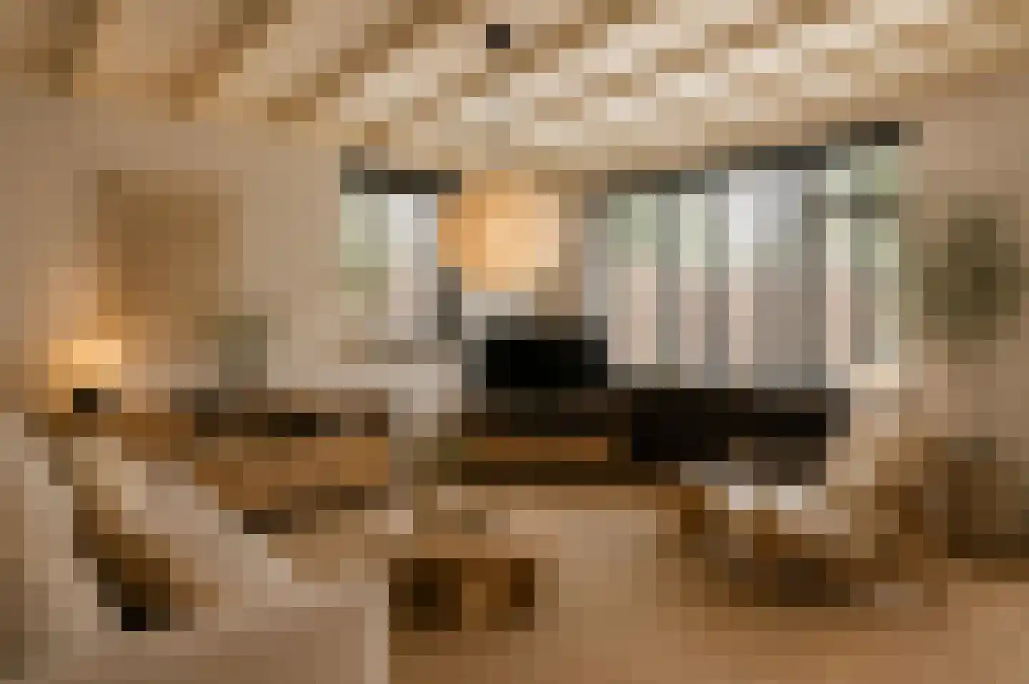 Van Heeswijkstraat 68 Udenhout thumbnail 13