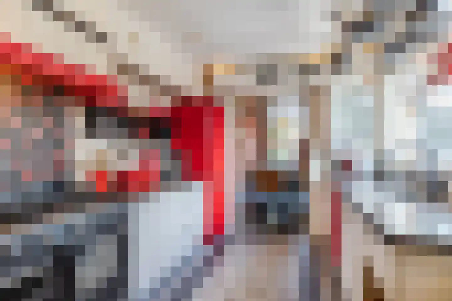 Van Heeswijkstraat 68 Udenhout thumbnail 14