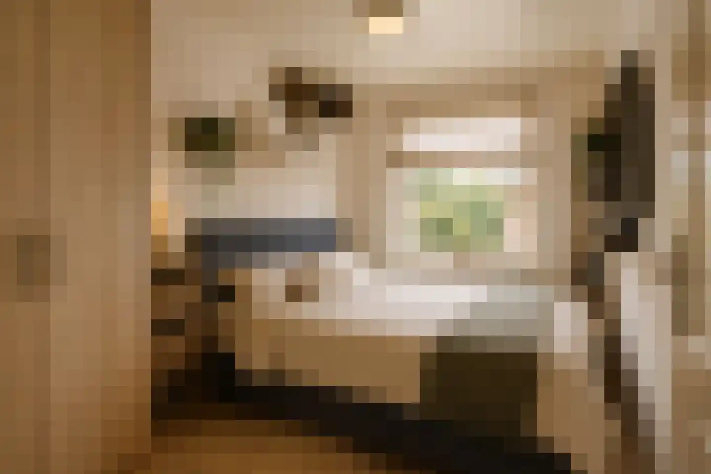Van Heeswijkstraat 68 Udenhout thumbnail 32