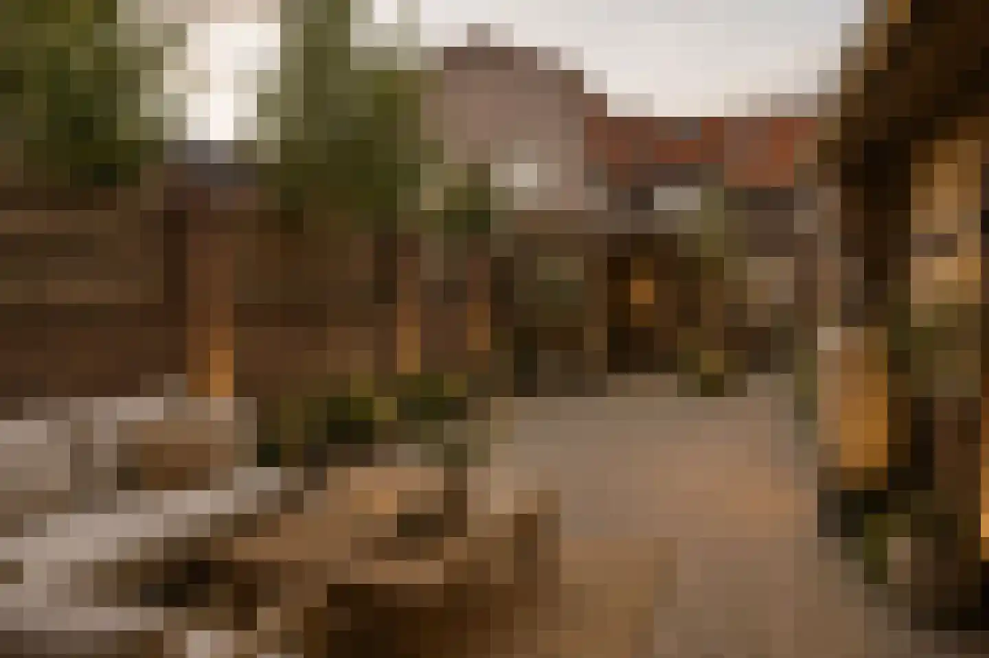 Van Heeswijkstraat 68 Udenhout thumbnail 42