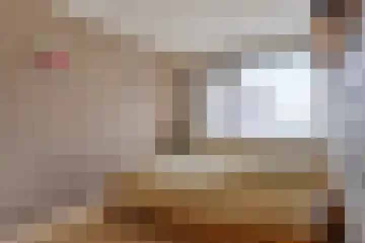 van Heetveldestraat 20 Zaamslag thumbnail 12