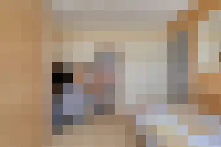 van Heetveldestraat 20 Zaamslag thumbnail 17