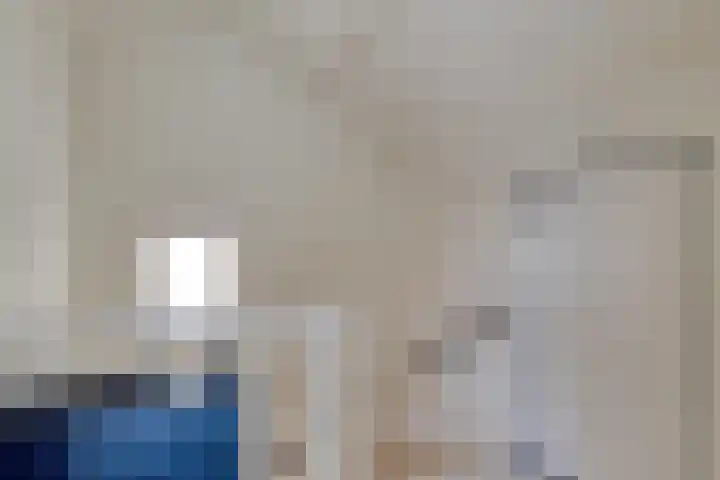 van Heetveldestraat 20 Zaamslag thumbnail 20