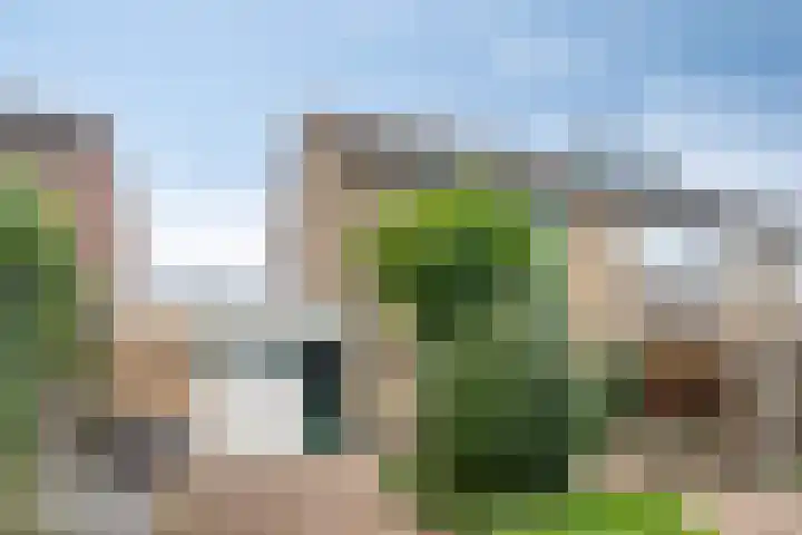 van Heetveldestraat 20 Zaamslag thumbnail 24