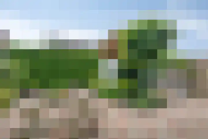 van Heetveldestraat 20 Zaamslag thumbnail 4