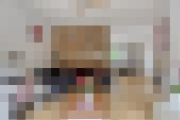 van Heetveldestraat 20 Zaamslag thumbnail 6