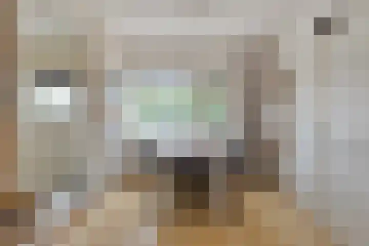 van Heetveldestraat 20 Zaamslag thumbnail 8