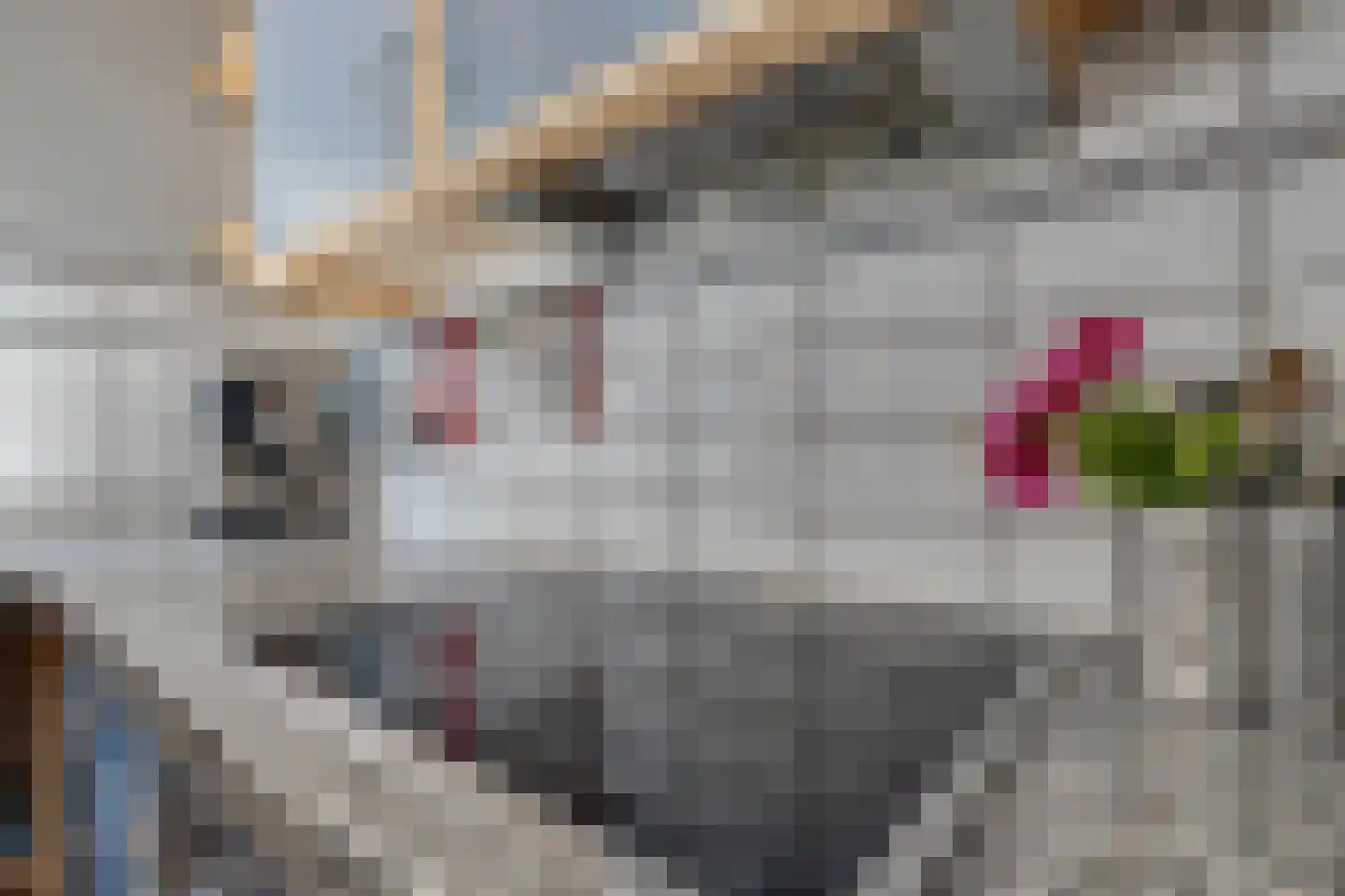 van Heijdenstraat 36 Lichtenvoorde thumbnail 17