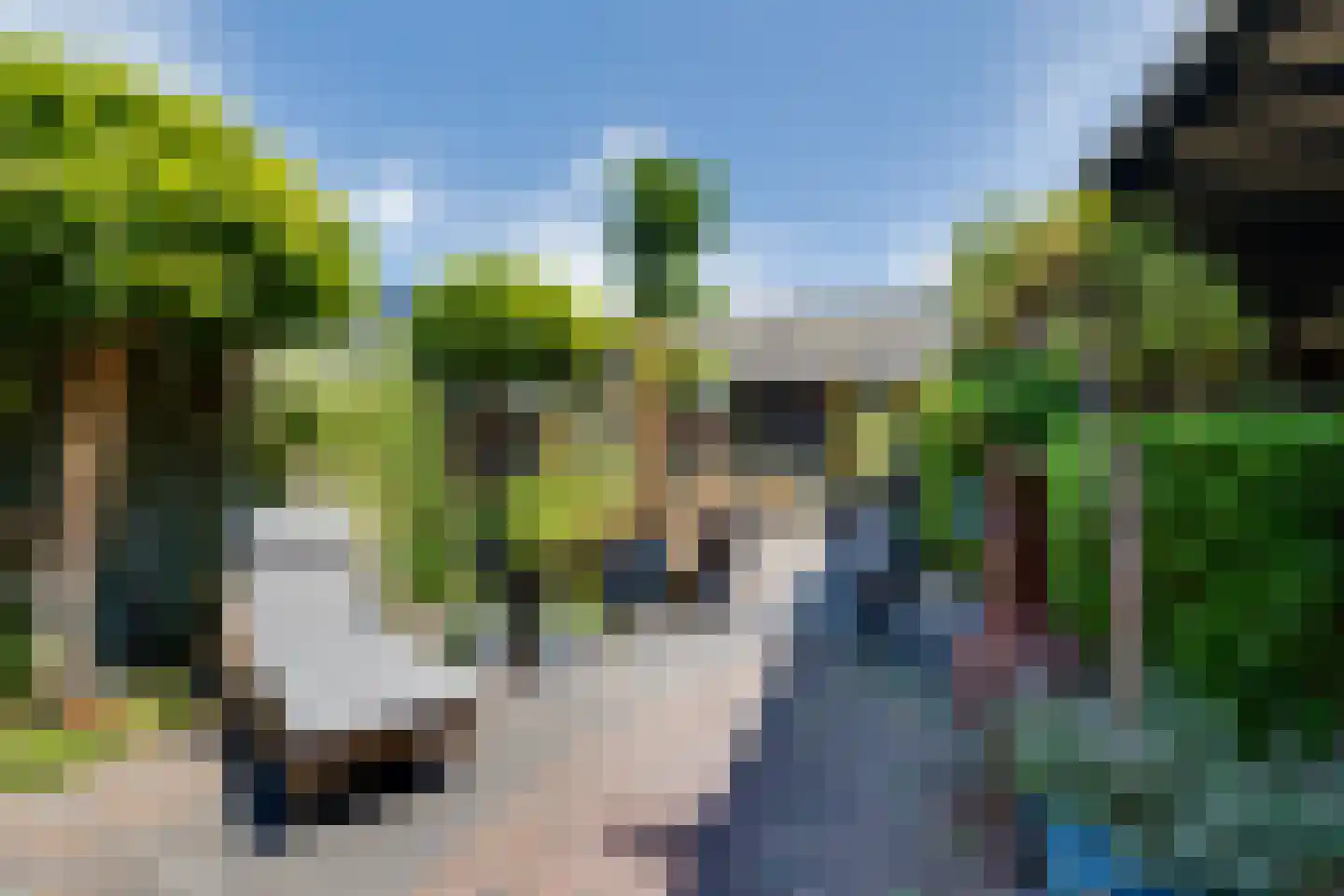 van Heijdenstraat 36 Lichtenvoorde thumbnail 34
