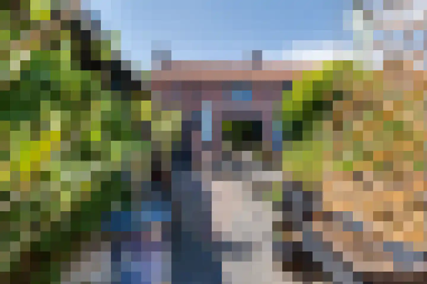 van Heijdenstraat 36 Lichtenvoorde thumbnail 37