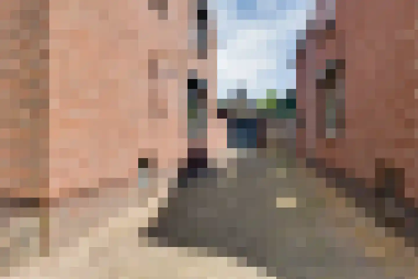 van Heijdenstraat 36 Lichtenvoorde thumbnail 4