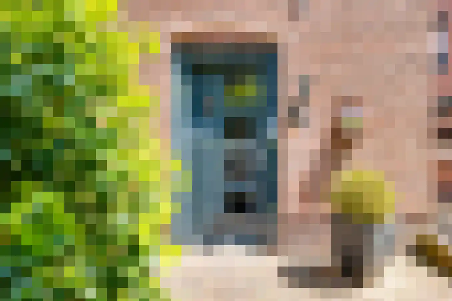 van Heijdenstraat 36 Lichtenvoorde thumbnail 5
