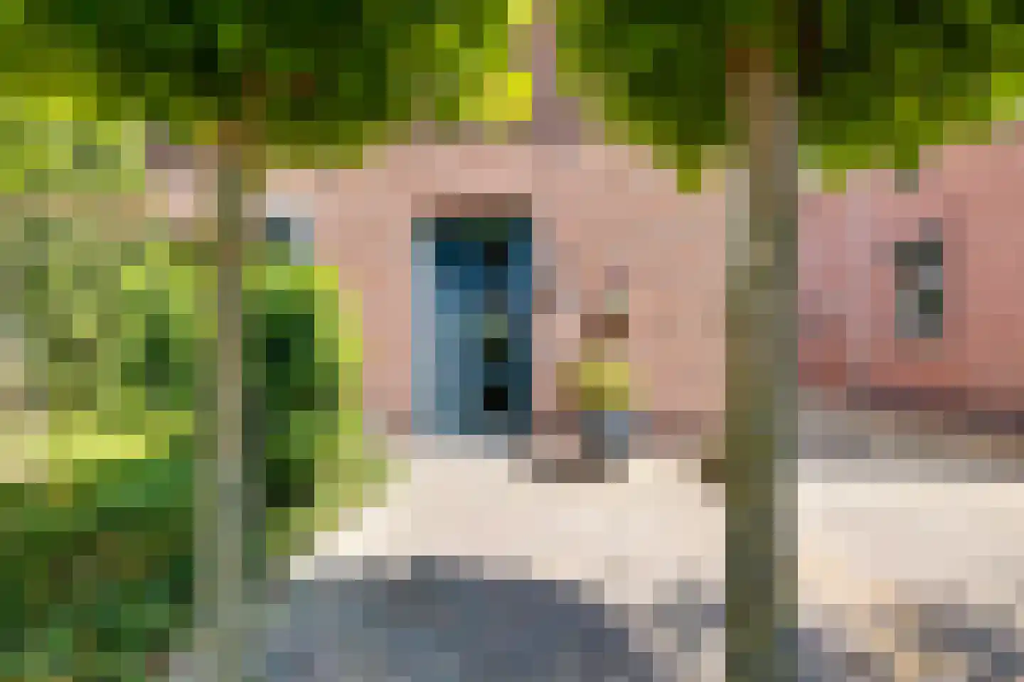 van Heijdenstraat 36 Lichtenvoorde thumbnail 7