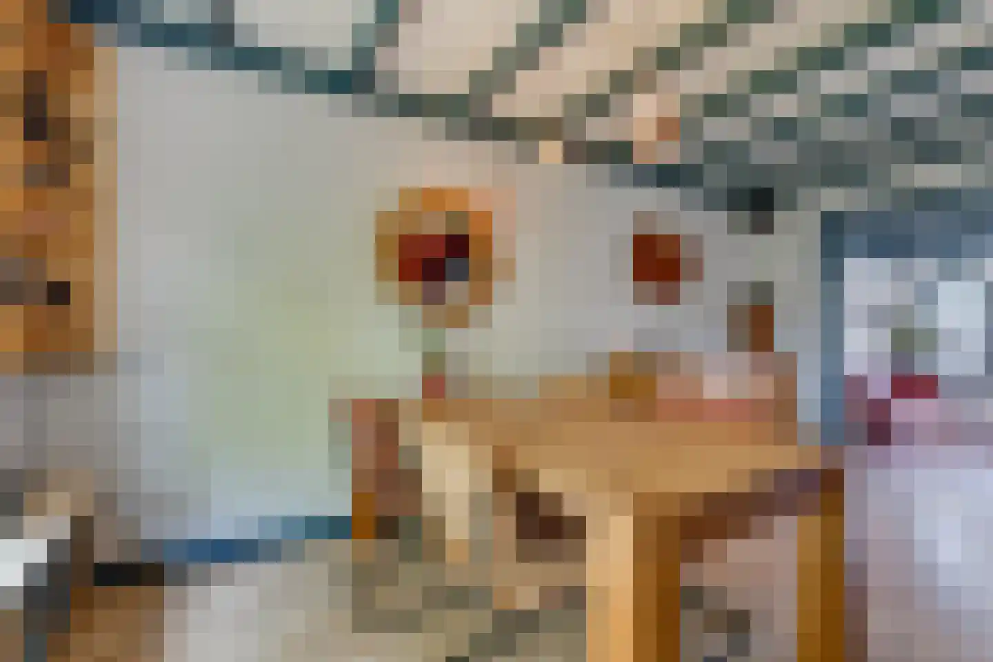 van Heijdenstraat 36 Lichtenvoorde thumbnail 8