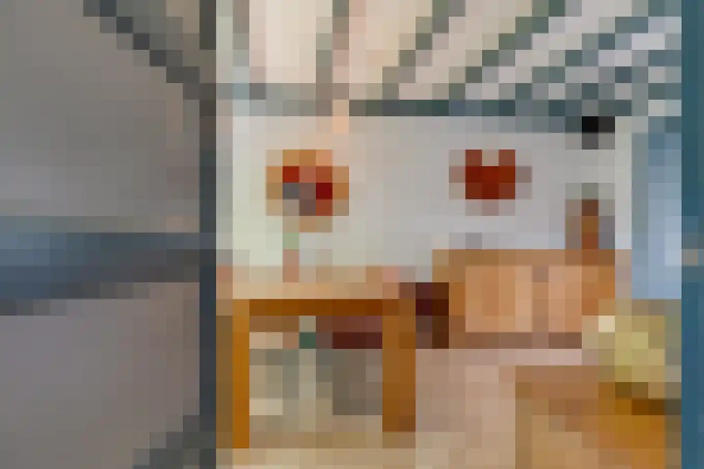 van Heijdenstraat 36 Lichtenvoorde thumbnail 8
