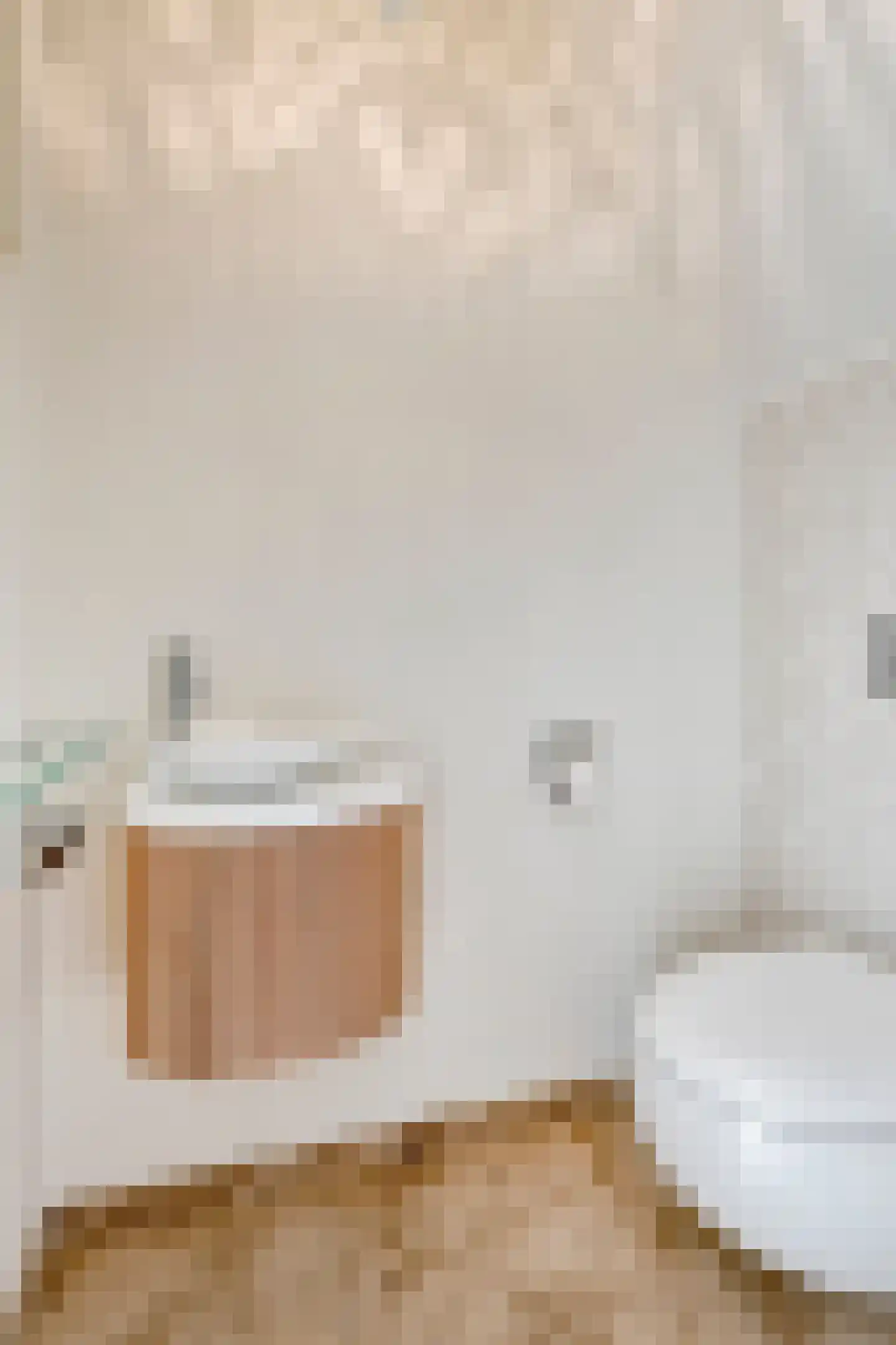 van Heijnsbergenstraat 13 Helmond thumbnail 16