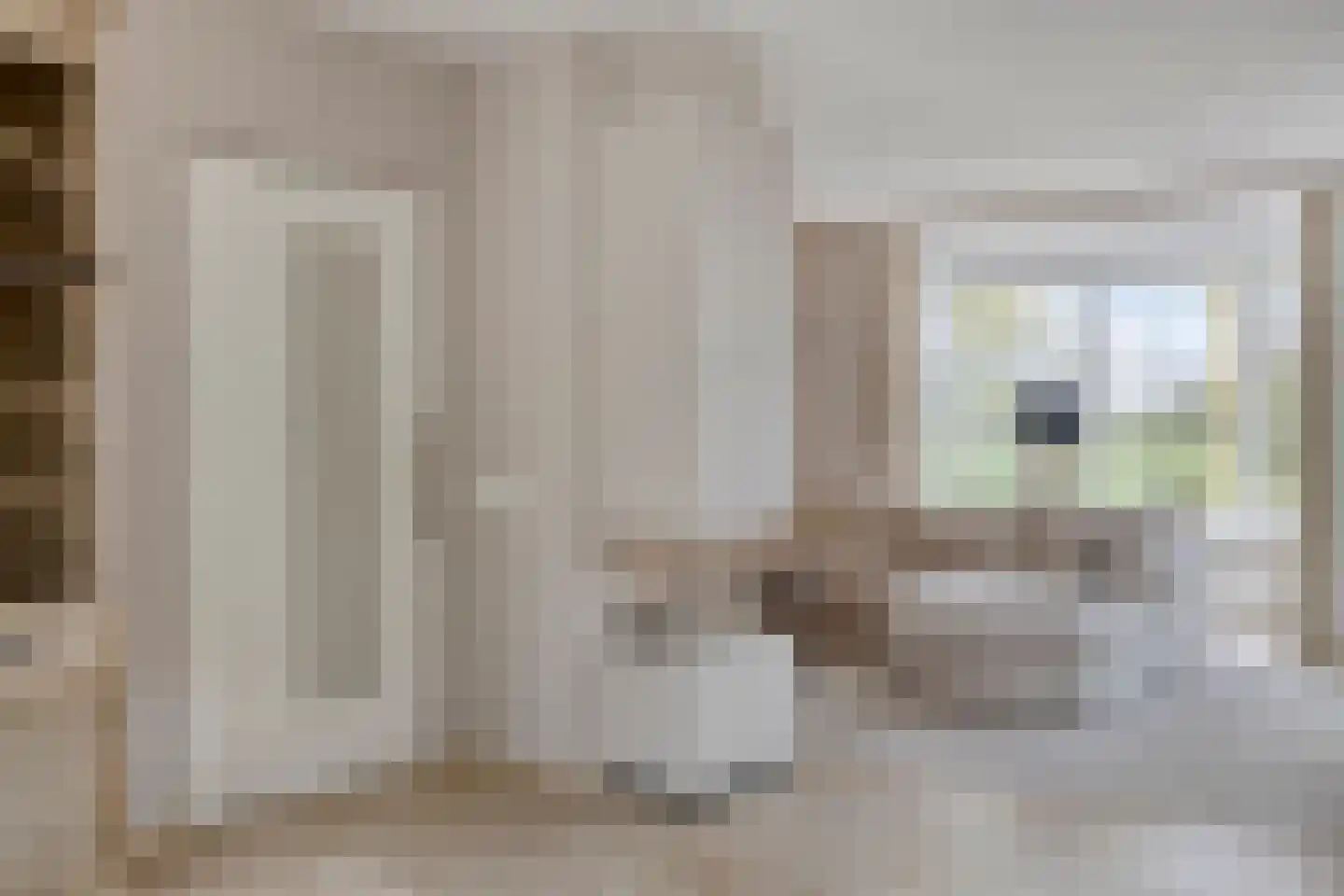 van Heijnsbergenstraat 13 Helmond thumbnail 22