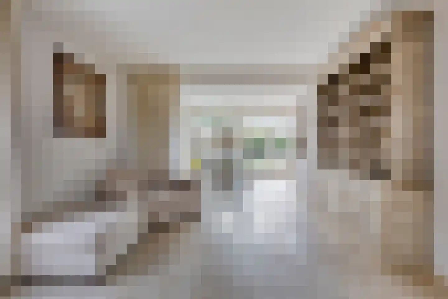 van Heijnsbergenstraat 13 Helmond thumbnail 24