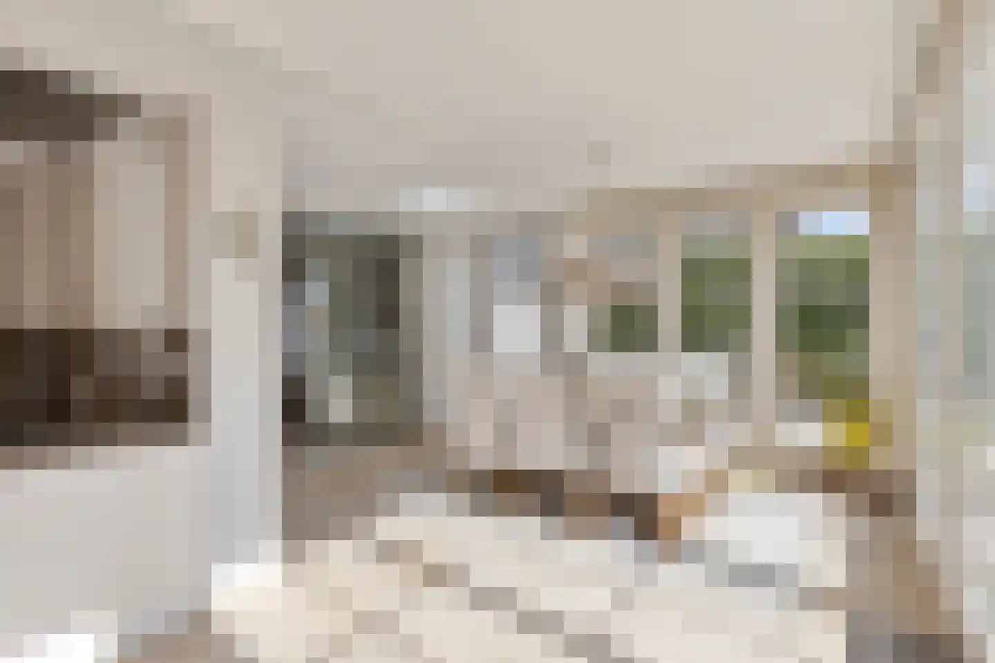van Heijnsbergenstraat 13 Helmond thumbnail 29