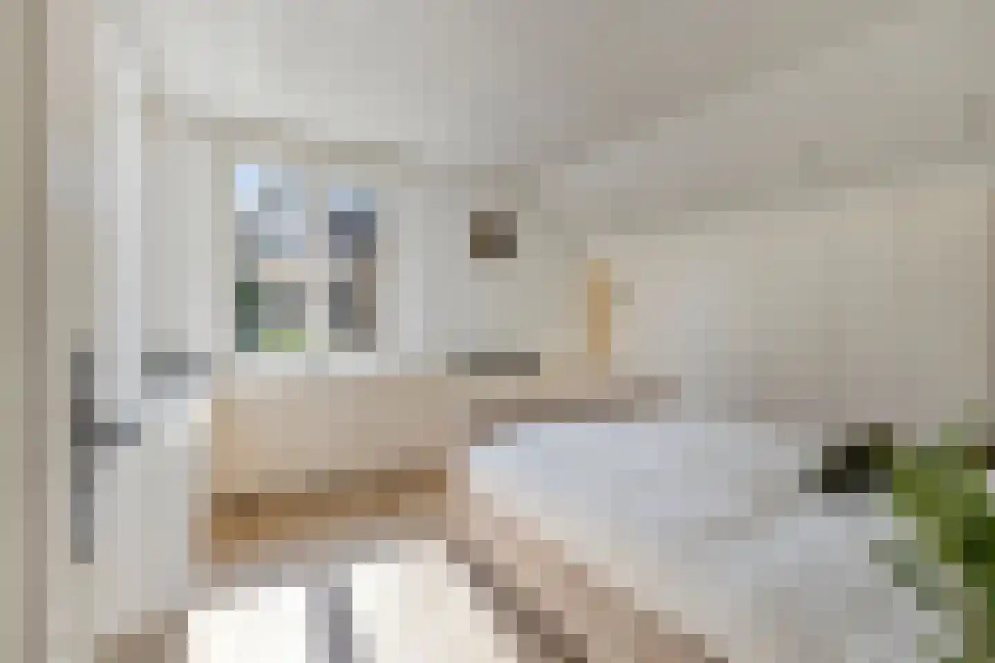 van Heijnsbergenstraat 13 Helmond thumbnail 34