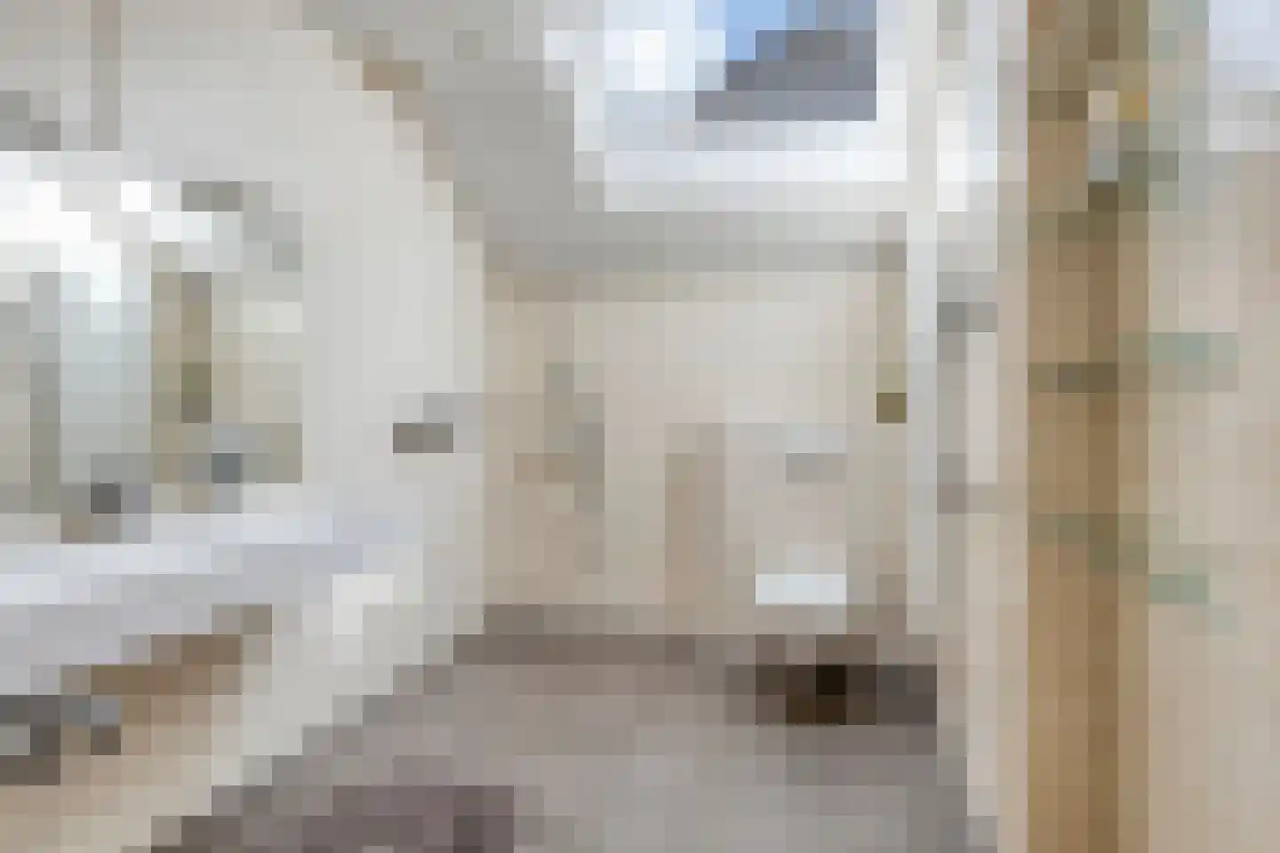 van Heijnsbergenstraat 13 Helmond thumbnail 36