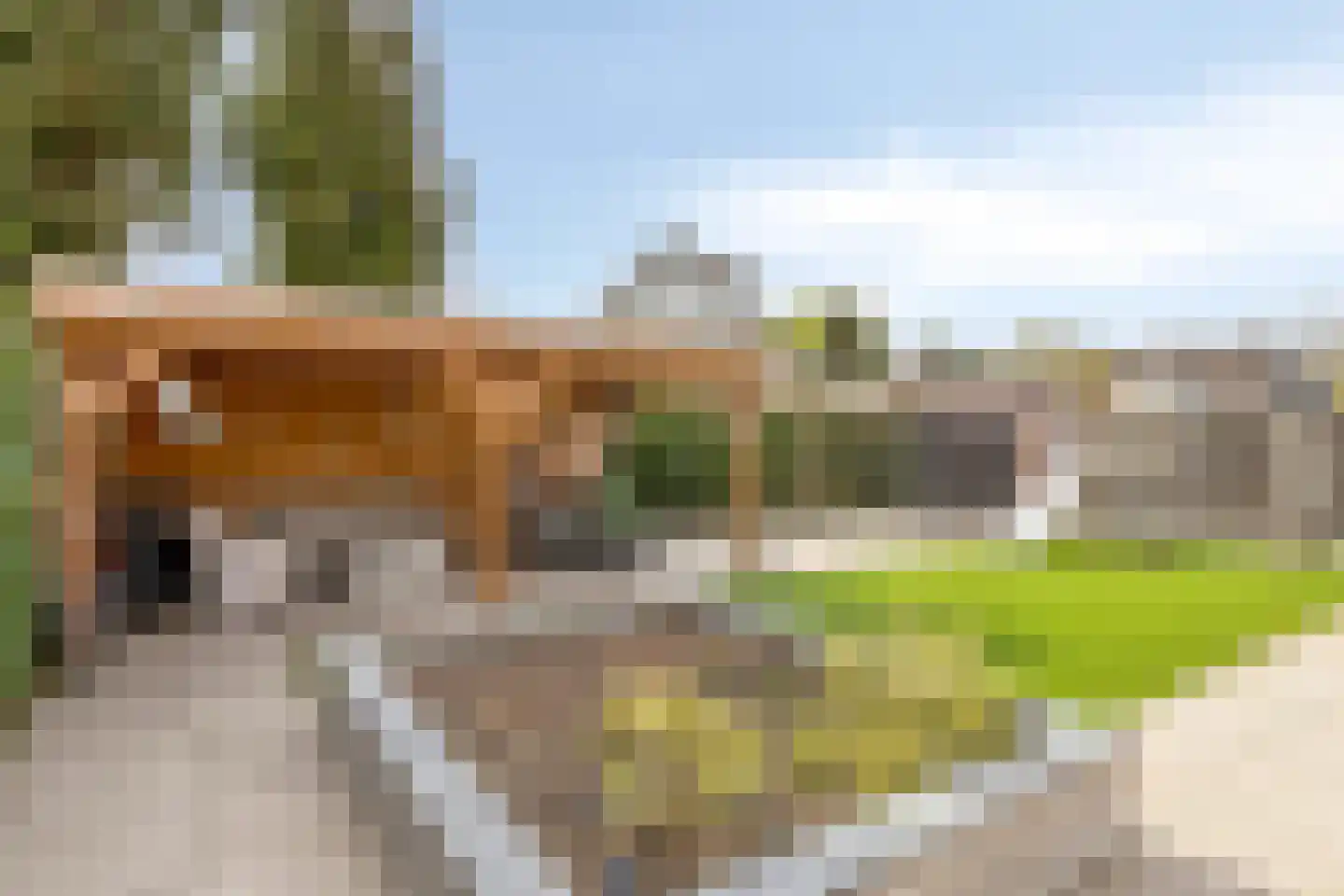 van Heijnsbergenstraat 13 Helmond thumbnail 54
