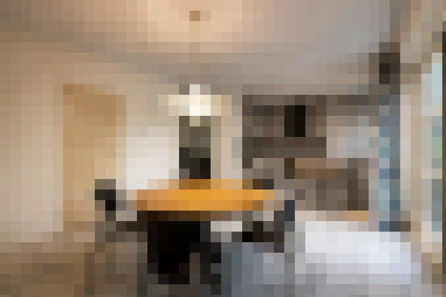van Heijnsbergenstraat 3 Helmond thumbnail 10