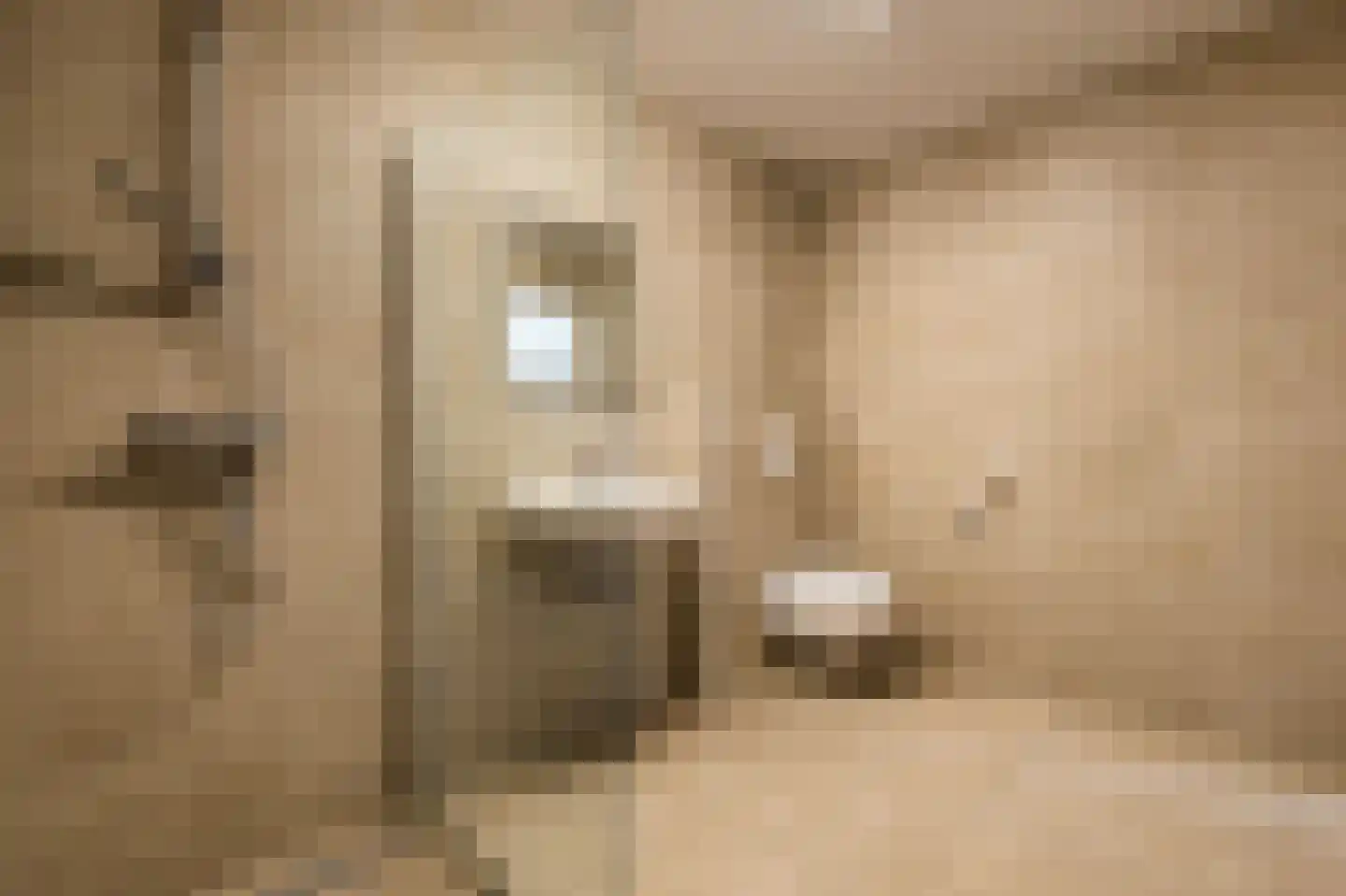 van Heijnsbergenstraat 3 Helmond thumbnail 26