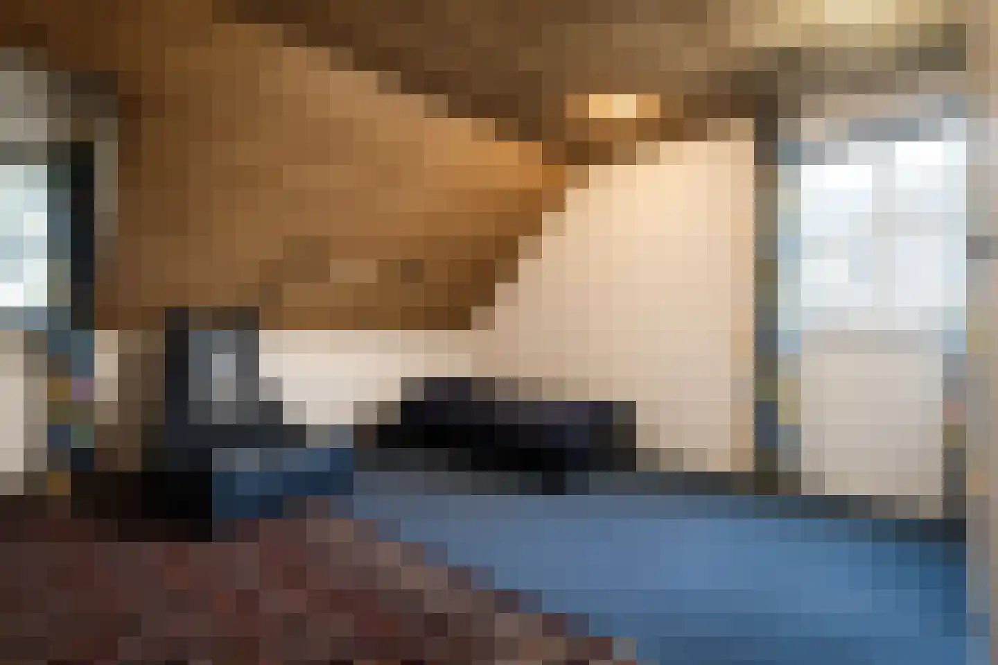 van Heijnsbergenstraat 3 Helmond thumbnail 33