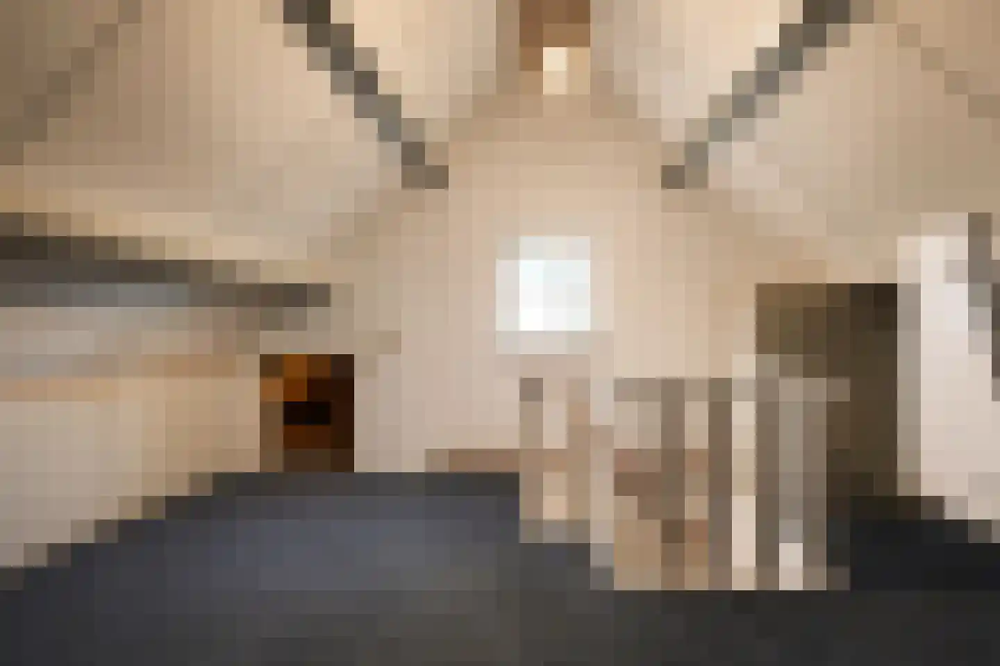 van Heijnsbergenstraat 3 Helmond thumbnail 38