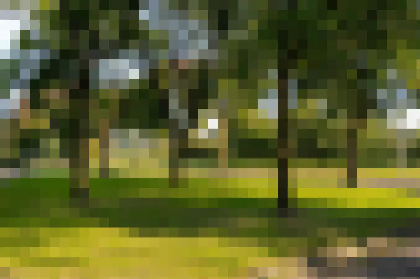 van Heijnsbergenstraat 3 Helmond thumbnail 46