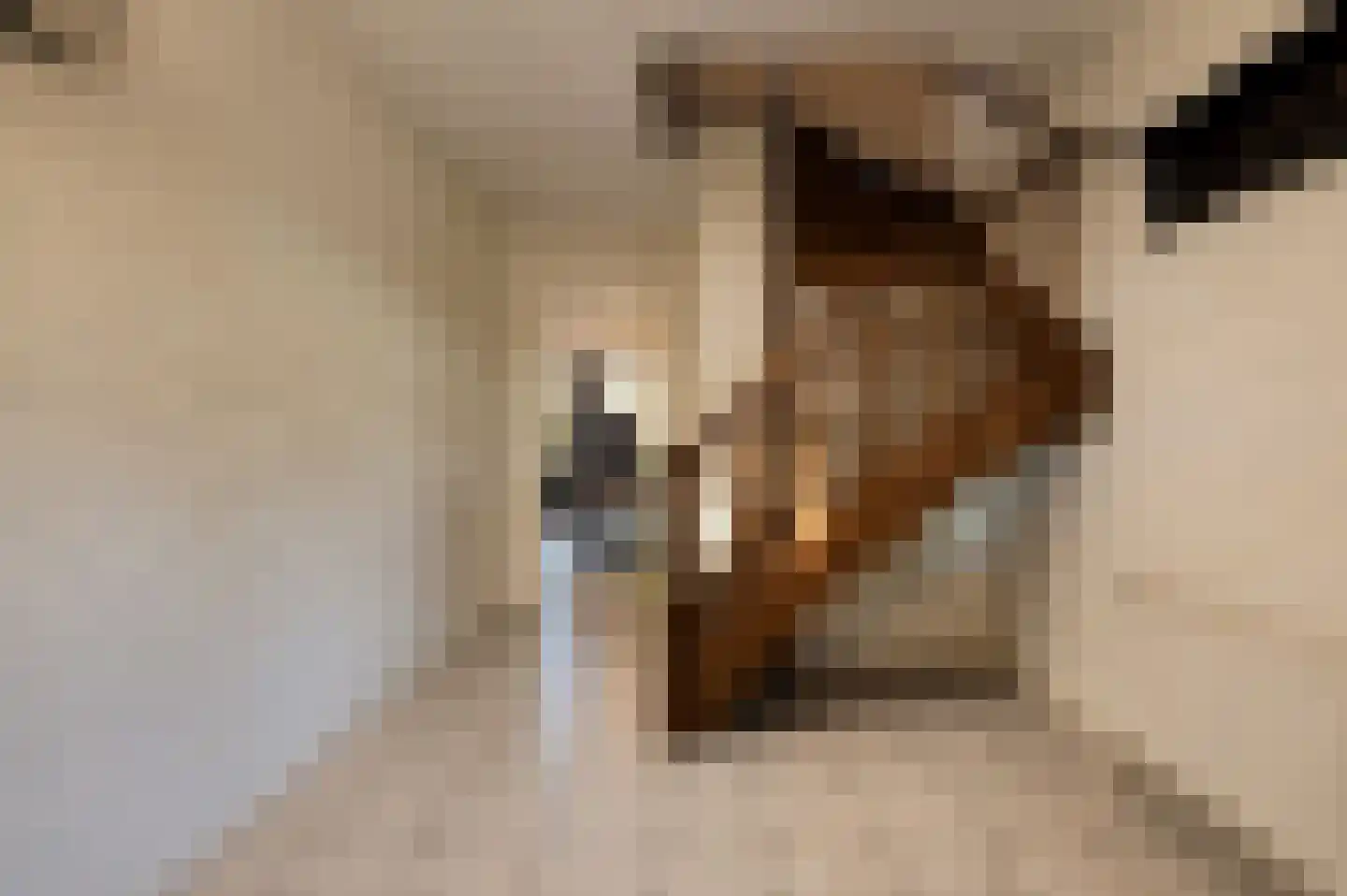 van Heijnsbergenstraat 3 Helmond thumbnail 5