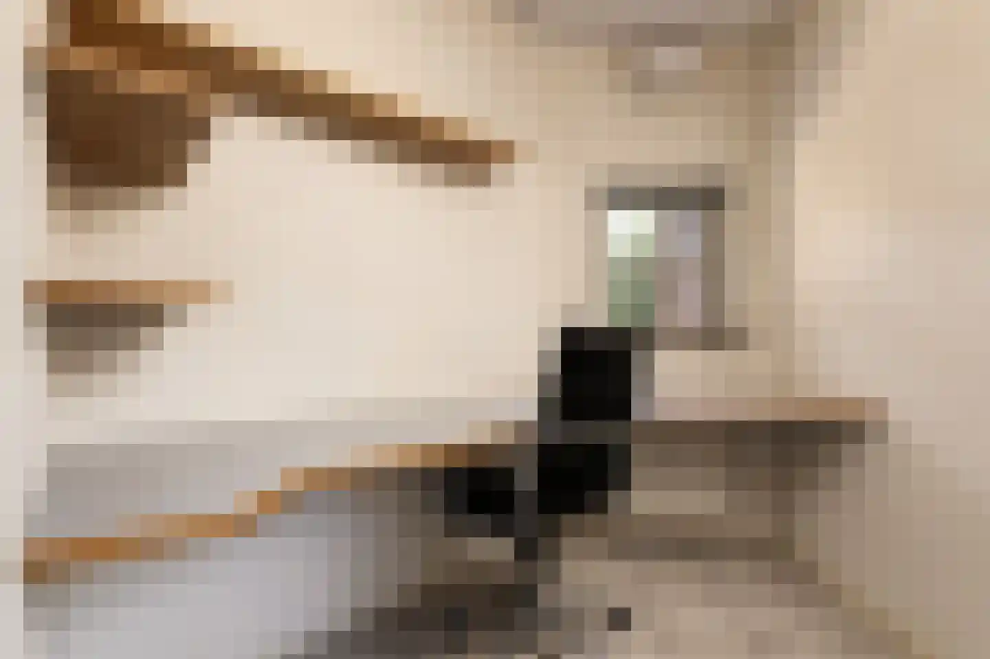 van Heijnsbergenstraat 3 Helmond thumbnail 8