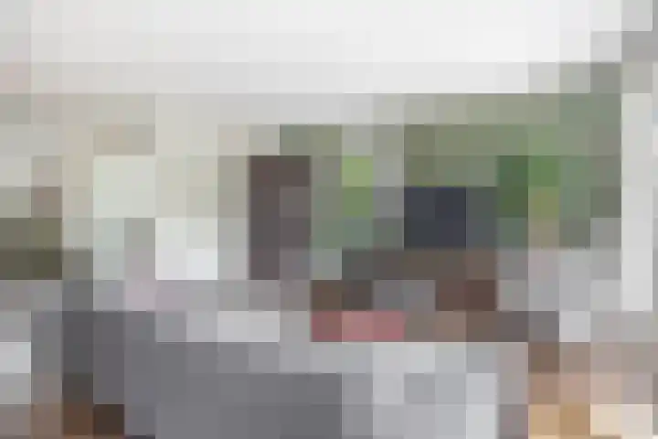 Van Heijstlaan 21 Nuenen thumbnail 15