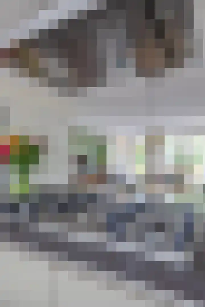 Van Heijstlaan 21 Nuenen thumbnail 21