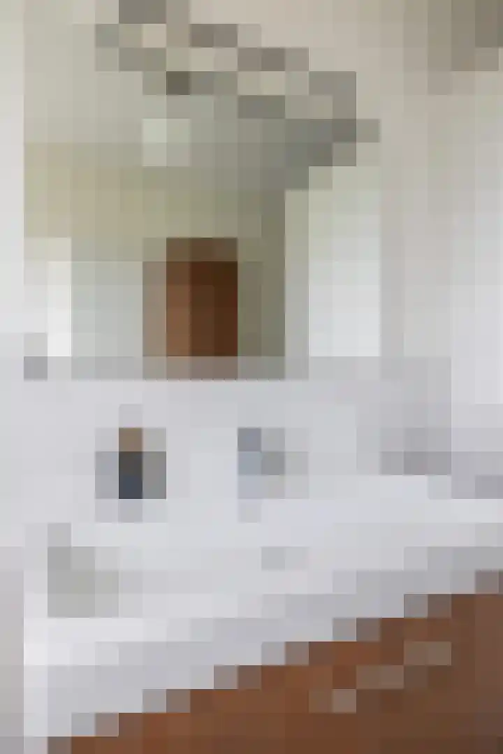 Van Heijstlaan 21 Nuenen thumbnail 32