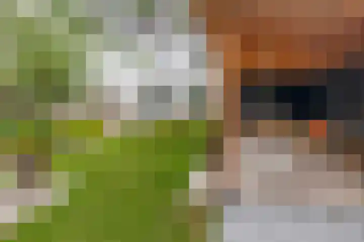 Van Heijstlaan 21 Nuenen thumbnail 4