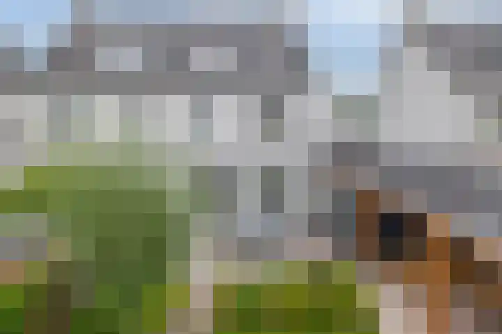 Van Heijstlaan 21 Nuenen thumbnail 42