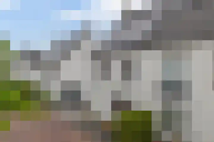 Van Heijstlaan 21 Nuenen thumbnail 5
