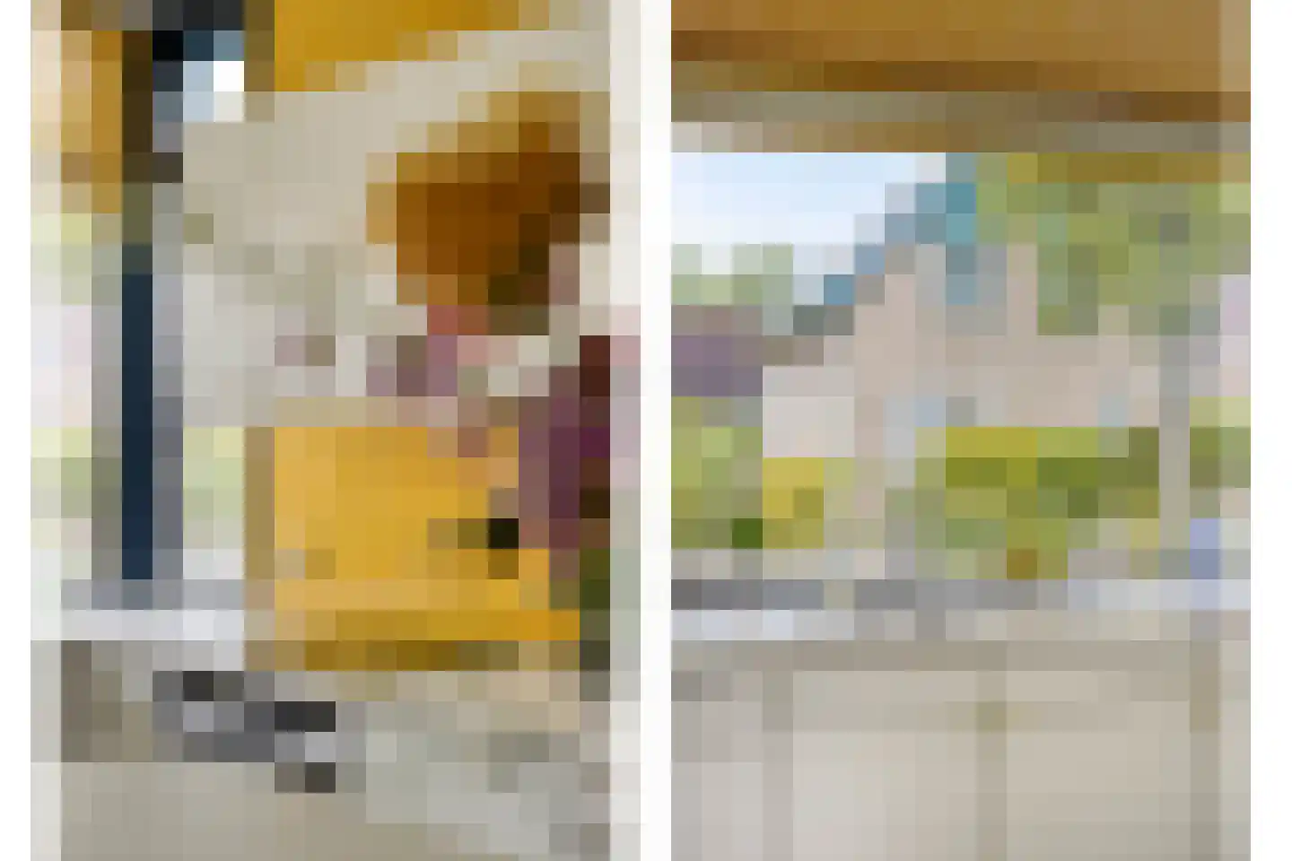 van Heijstlaan 23 Honselersdijk thumbnail 10