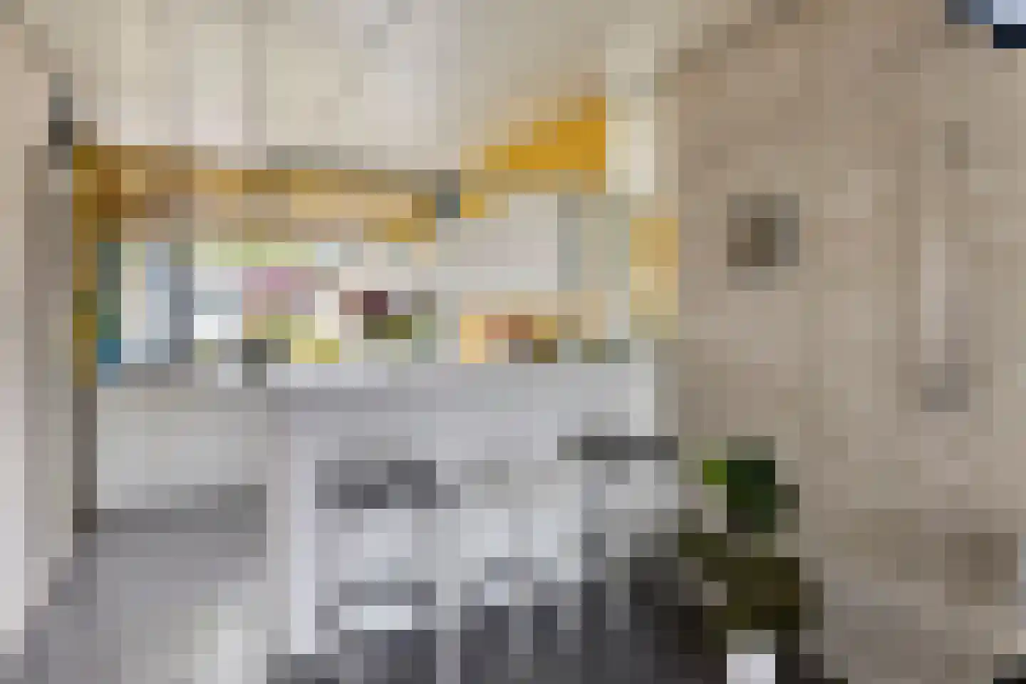 van Heijstlaan 23 Honselersdijk thumbnail 11