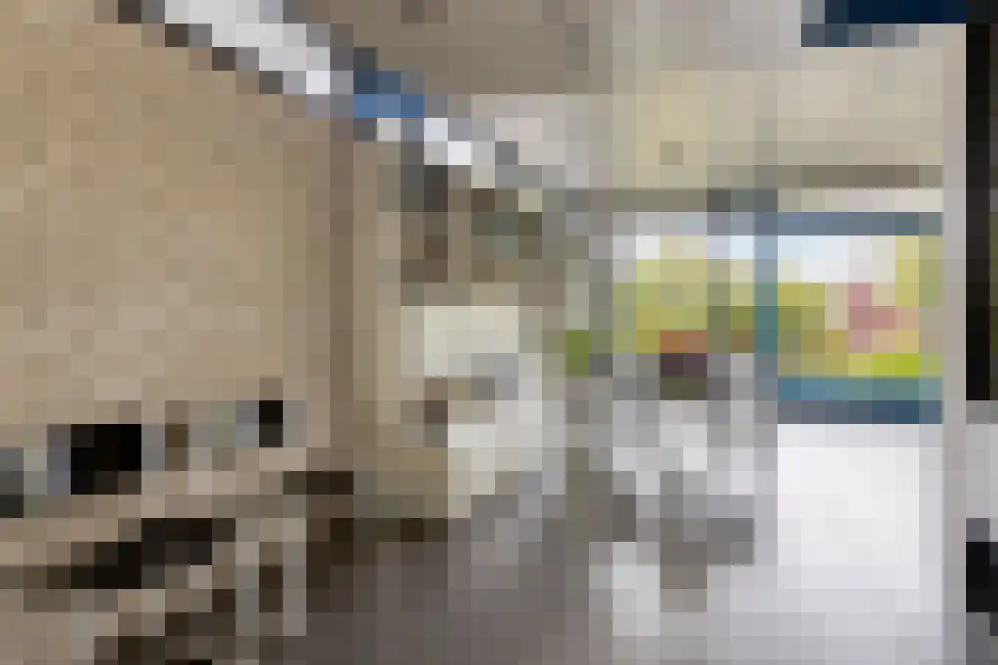 van Heijstlaan 23 Honselersdijk thumbnail 13