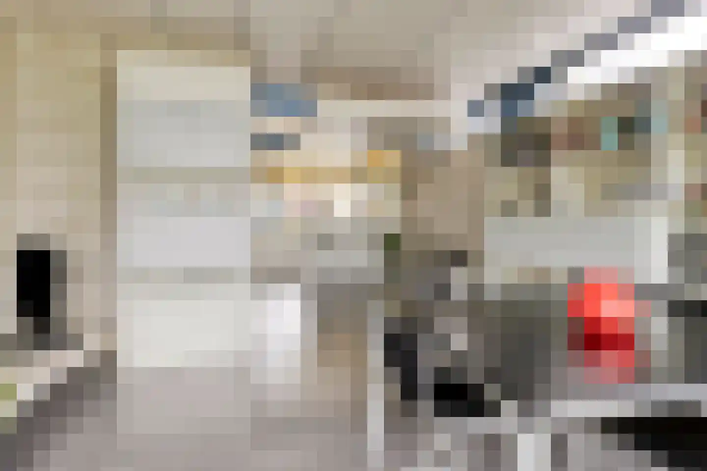 van Heijstlaan 23 Honselersdijk thumbnail 14