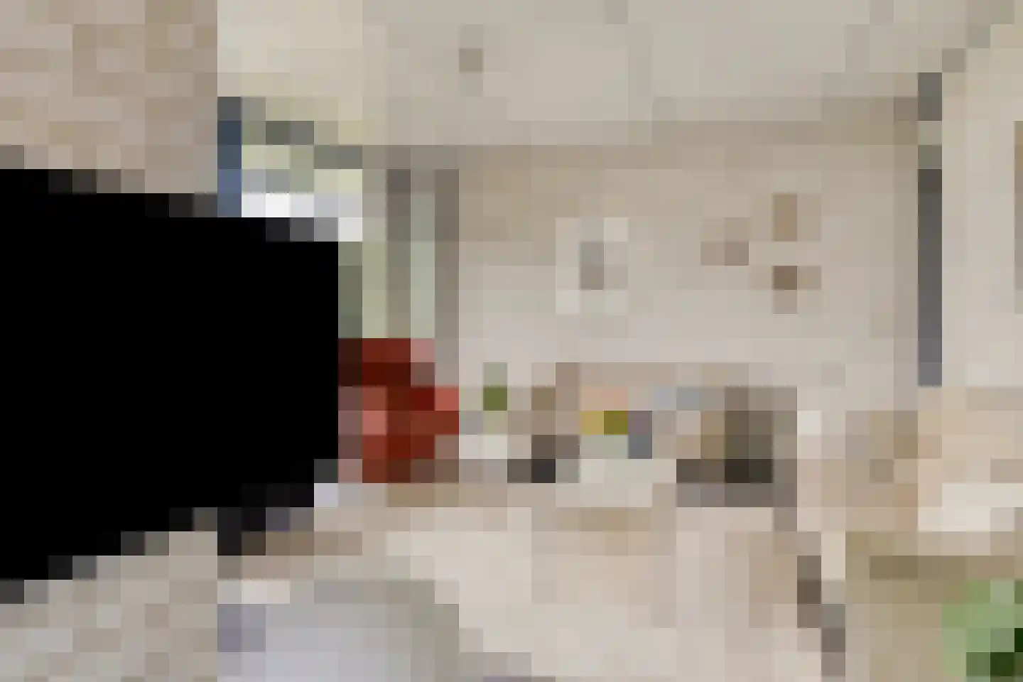 van Heijstlaan 23 Honselersdijk thumbnail 15